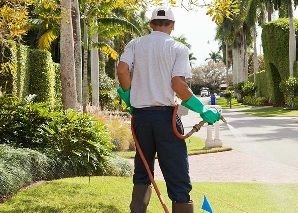 About Stoughton MA Pest Control Pros